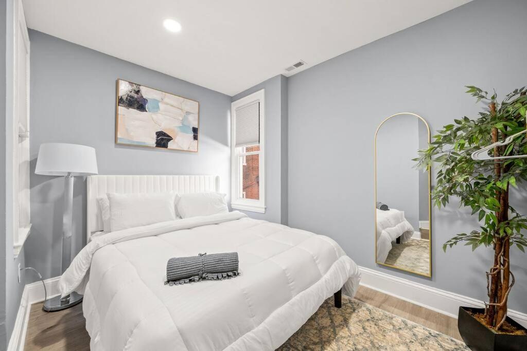 Appartement New! Cozy In Center City! *